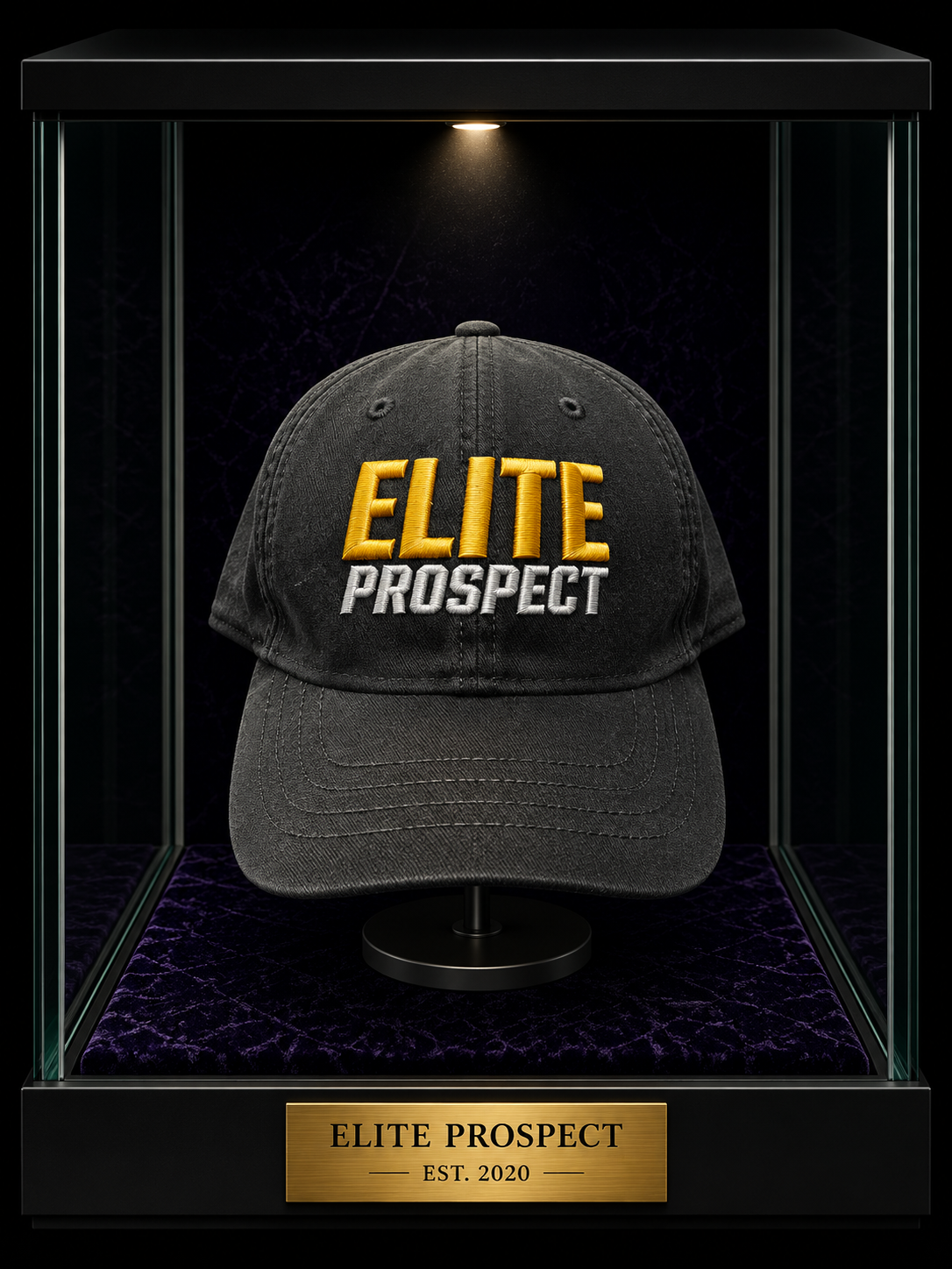 Branded 3D Thick Embroidered Caps