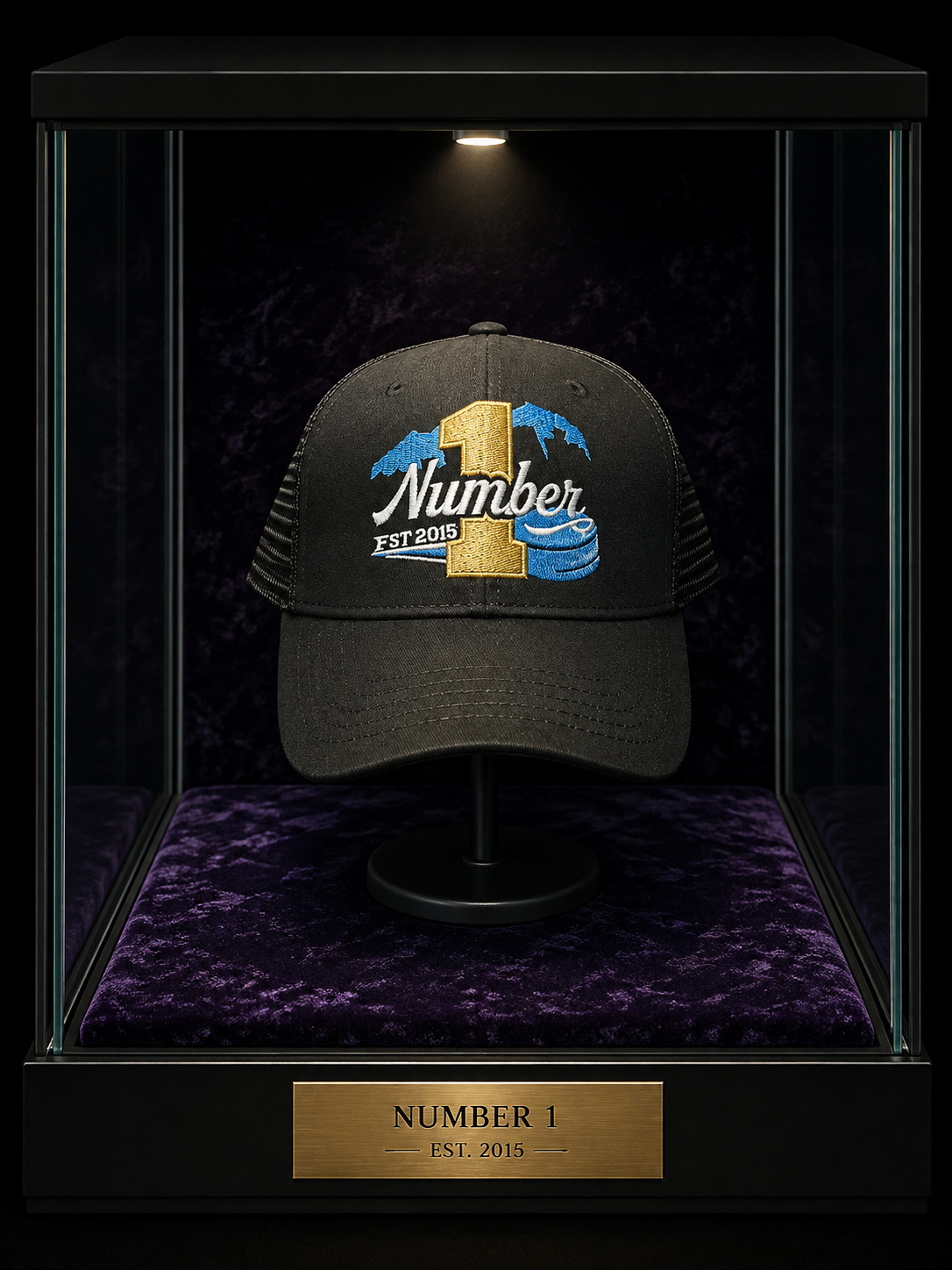 Branded 3D Thick Embroidered Caps