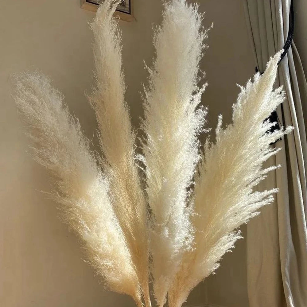 80cm Large Natural Dried Pampas Bouquet, Dry Fluffy Beige Pampas Decoration Vase Botanical Boho Home Wedding Party Decoration