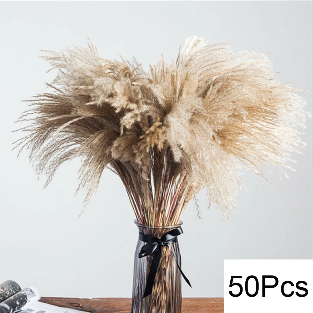 Dried Pampas for Decoration Fluffy Natural Tall Pampas Set 30-100Pcs Small Reed Dried Flowers Bouquet Boho Home Ramadan Decor