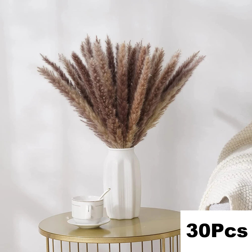 Dried Pampas for Decoration Fluffy Natural Tall Pampas Set 30-100Pcs Small Reed Dried Flowers Bouquet Boho Home Ramadan Decor