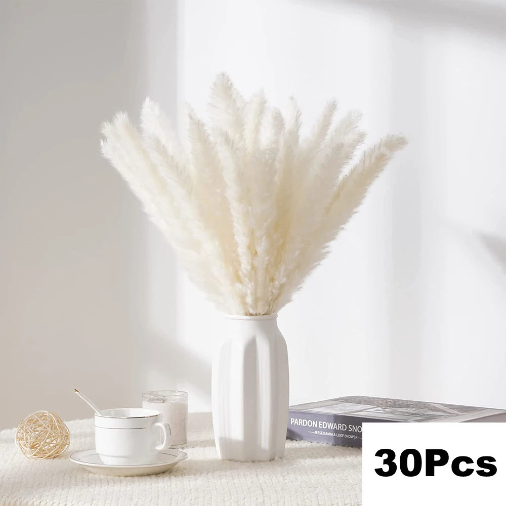 Dried Pampas for Decoration Fluffy Natural Tall Pampas Set 30-100Pcs Small Reed Dried Flowers Bouquet Boho Home Ramadan Decor