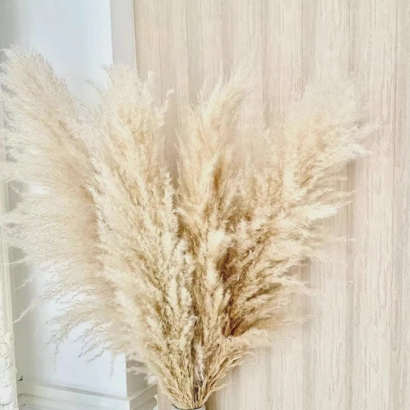 80cm Large Natural Dried Pampas Bouquet, Dry Fluffy Beige Pampas Decoration Vase Botanical Boho Home Wedding Party Decoration