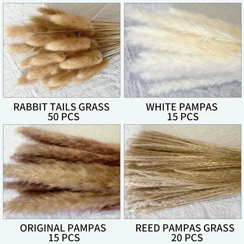 Dried Pampas for Decoration Fluffy Natural Tall Pampas Set 30-100Pcs Small Reed Dried Flowers Bouquet Boho Home Ramadan Decor