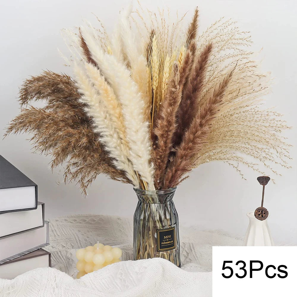 Dried Pampas for Decoration Fluffy Natural Tall Pampas Set 30-100Pcs Small Reed Dried Flowers Bouquet Boho Home Ramadan Decor