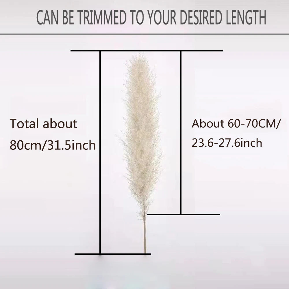 80cm Large Natural Dried Pampas Bouquet, Dry Fluffy Beige Pampas Decoration Vase Botanical Boho Home Wedding Party Decoration