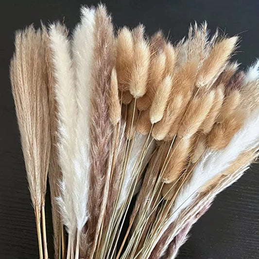 Dried Pampas for Decoration Fluffy Natural Tall Pampas Set 30-100Pcs Small Reed Dried Flowers Bouquet Boho Home Ramadan Decor