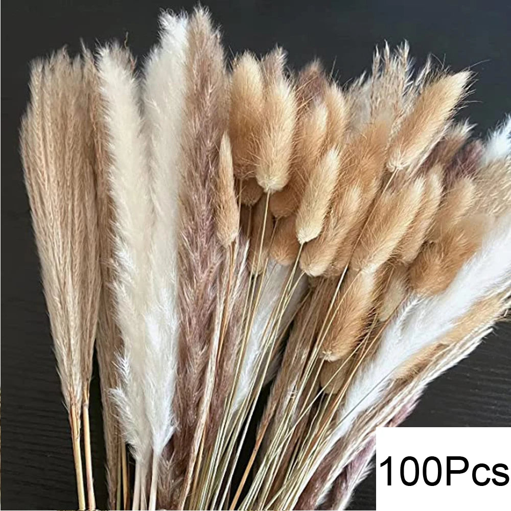 Dried Pampas for Decoration Fluffy Natural Tall Pampas Set 30-100Pcs Small Reed Dried Flowers Bouquet Boho Home Ramadan Decor