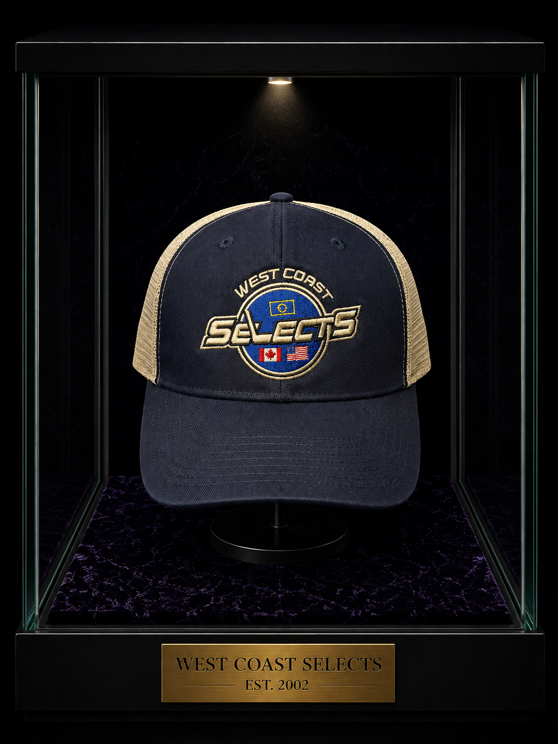 Branded 3D Thick Embroidered Caps